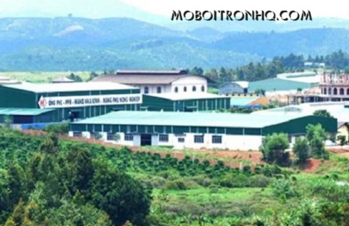 ban-dau-chong-ri-set-tai-kcn-loc-son-da-lat-lam-dong