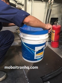 Cung cấp, mua bán mỡ bò chịu nhiệt tại Tiền Giang