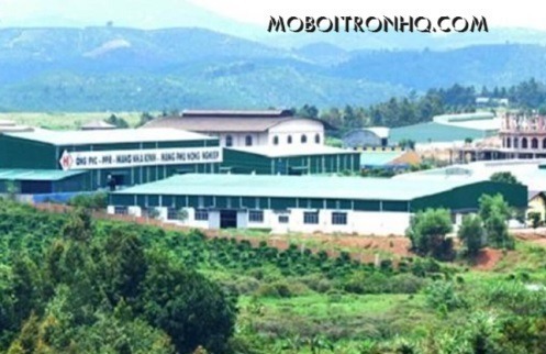 ban-dau-truyen-nhiet-tai-kcn-loc-son-lam-dong