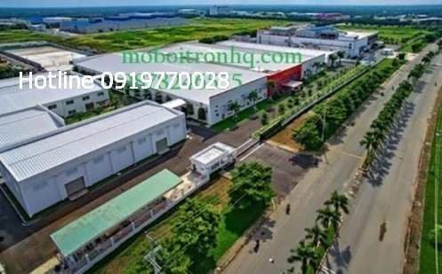 ban-mo-molygraph-tai-kcn-dong-binh-tinh-vinh-long