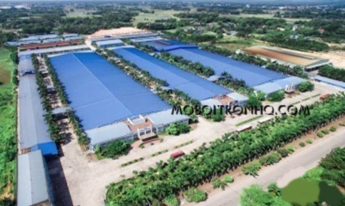 dai-ly-ban-dau-cat-got-kim-loai-tai-kcn-co-chien-tra-vinh