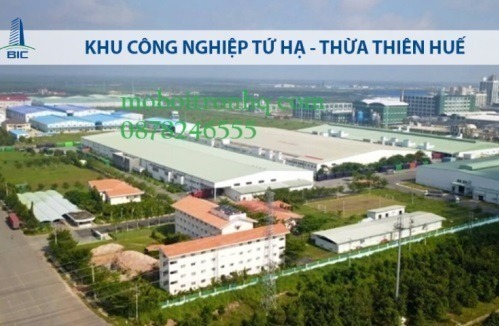 dai-ly-cung-cap-mo-bo-chiu-nhiet-tai-kcn-tu-ha-thua-thien-hue