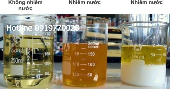 dau-thuy-luc-bi-nhiem-nuoc