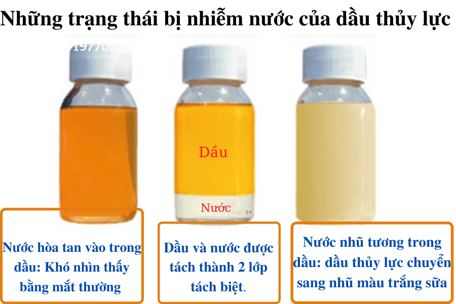 dauthuy-luc-nhiem-ban-tap-chat