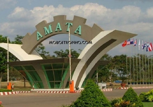 mua-ban-dau-nhot-thuy-luc-tai-kcn-amata-dong-nai