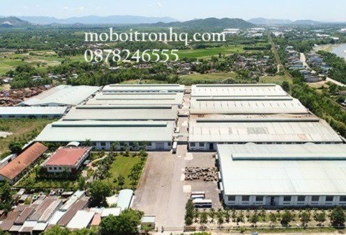 mua-ban-mo-bo-chiu-nhiet-tai-kcn-phu-tai-binh-dinh