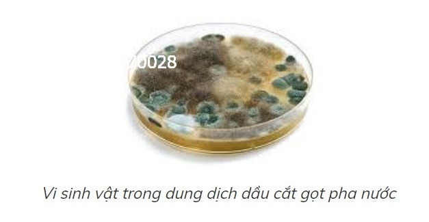 su-co-dau-cat-got-kim-loai-pha-nuoc